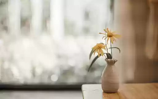 Simple Vase with Yellow Blooms from Chrome web store to be run with OffiDocs Chromium online Simple Vase with Yellow Blooms from Chrome web store to be run with OffiDocs Chromium online