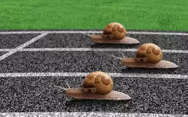 snails from Chrome web store to be run with OffiDocs Chromium online snails from Chrome web store to be run with OffiDocs Chromium online