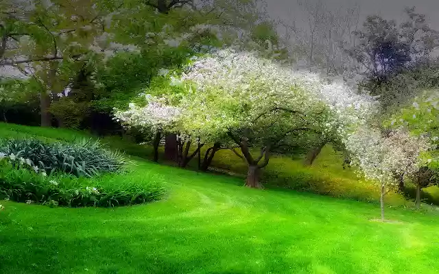 Spring Weather California from Chrome web store to be run with OffiDocs Chromium online Spring Weather California from Chrome web store to be run with OffiDocs Chromium online