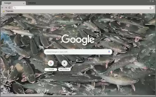 Suoi Ca Than Cam Thuy from Chrome web store to be run with OffiDocs Chromium online Suoi Ca Than Cam Thuy from Chrome web store to be run with OffiDocs Chromium online