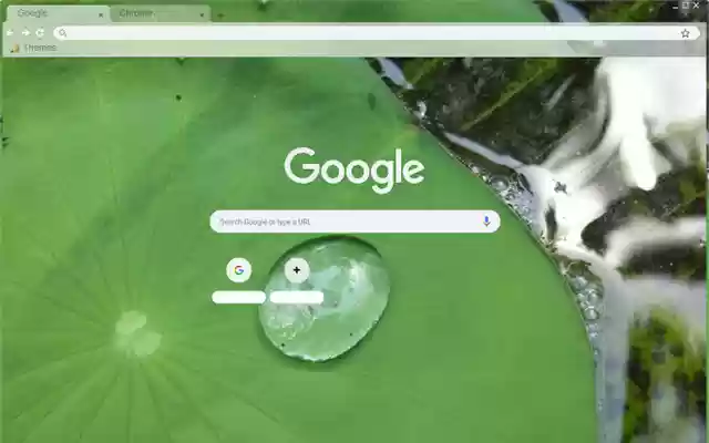 The Floating Water Lily Leaf from Chrome web store to be run with OffiDocs Chromium online The Floating Water Lily Leaf from Chrome web store to be run with OffiDocs Chromium online