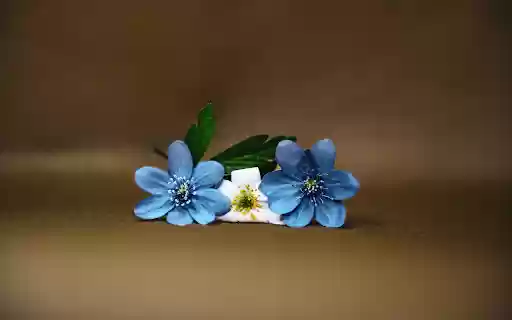 Three flowers from Chrome web store to be run with OffiDocs Chromium online Three flowers from Chrome web store to be run with OffiDocs Chromium online