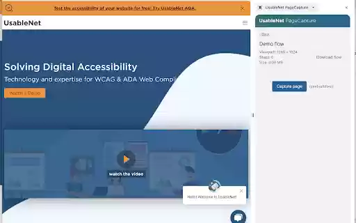 UsableNet PageCapture from Chrome web store to be run with OffiDocs Chromium online UsableNet PageCapture from Chrome web store to be run with OffiDocs Chromium online