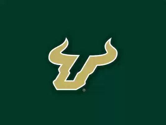 USF Tampa from Chrome web store to be run with OffiDocs Chromium online USF Tampa from Chrome web store to be run with OffiDocs Chromium online