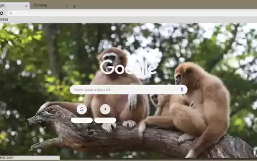 Vuon from Chrome web store to be run with OffiDocs Chromium online Vuon from Chrome web store to be run with OffiDocs Chromium online