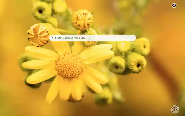 Yellow Background Daily from Chrome web store to be run with OffiDocs Chromium online Yellow Background Daily from Chrome web store to be run with OffiDocs Chromium online